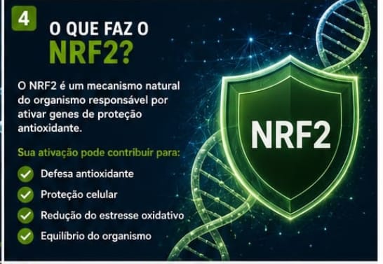 O que faz o NRF2: mecanismo natural do organismo que ativa genes de proteção antioxidante.